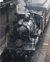 �S���}�K�W�� �l�C��Ԃōs����