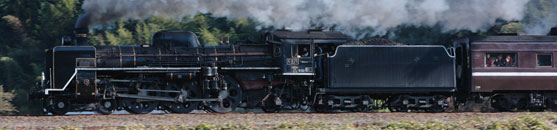 �S���}�K�W�� �l�C��Ԃōs����