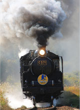 �S���}�K�W�� �l�C��Ԃōs����