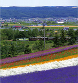 �S���}�K�W�� �l�C��Ԃōs����