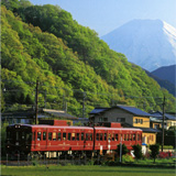 �S���}�K�W�� �l�C��Ԃōs����