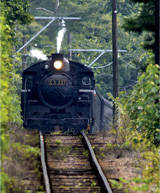 �S���}�K�W�� �l�C��Ԃōs����